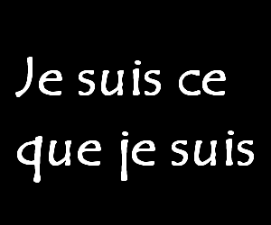reflèchisser lol